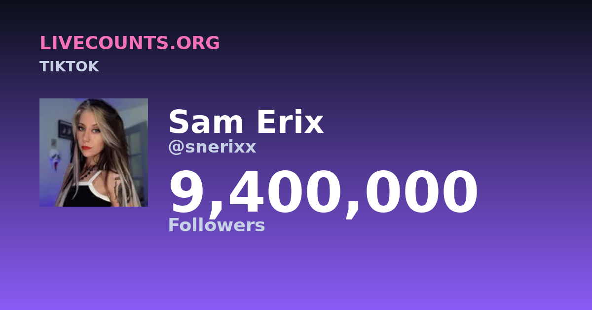 Sam Erix TikTok Follower Count